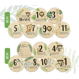 Handmade Wooden Baby Month Milestone Cards Color-Printed Decorative Wall Signs & Wood Crafts Includes Wall Signs & Wooden Boxes
