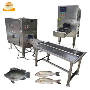 Tilapia Fish Scaling Machine Scale Remover Processing Plant Automatic Fish Scale Removing Machine Fish Scale Remover Machine