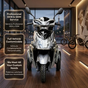 <span class=keywords><strong>Moto</strong></span> électrique tout-terrain à <span class=keywords><strong>3</strong></span> <span class=keywords><strong>roues</strong></span> 1000W 2000W pour la montée en pente, frein à disque hydraulique avec écran LCD multifonctionnel - Product Image 5
