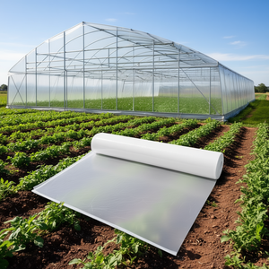 Film de serre en polyéthylène transparent 25 x 40 pieds, épaisseur 6 mil, résistant aux UV, plastique agricole pour usage en serre - Product Image 2