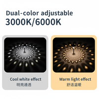 Lampes LED solaires IP65 pour aménagement paysager avec batterie, lumière blanc chaud doux 2700K, matériau ABS, certifiées CE pour usage extérieur en jardin