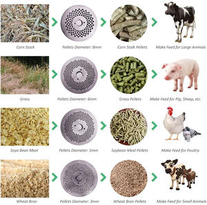 Nouveau moulin à granulés d'alimentation animale à haute productivité pour un traitement efficace des aliments pour animaux - Product Image 3