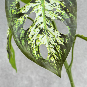 Rama Artificial Larga con 7 Hojas para Decoración <span class=keywords><strong>de</strong></span> Habitaciones con Flores, Venta al por Mayor, QYYN-91 - Product Image 6