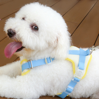 Harnais de luxe Macaron en PU avec logo personnalisé pour chien et chat avec caractéristiques réfléchissantes réglable et durable avec boucles pour accessoire de marche