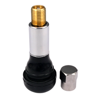 Valve de pneu tubeless Schrader TR414, valves de moto pour CT100, accessoires de voiture