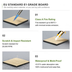 Z סוג עם תאי נעליים וקולת הלבשה יוקרתית עבור מרכז רחצה - Product Image 5
