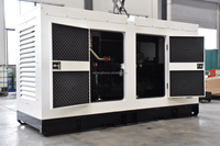 Générateur silencieux triphasé diesel à commande à distance Weichai Perkkins 50 kVA/100 kVA 80 kW avec ATS et garantie de 12 mois