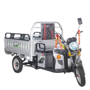 Three Wheel Motorcycle Bajaj Battery Operated Simple Goods Loader Scooter Mini Truck Cargo Delivery Tricycle For Mountain Roads