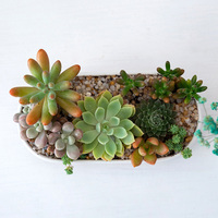 Pots à succulentes en céramique ovales de petite taille, blancs, avec plateau en bambou et trou de drainage, support minimaliste pour plantes de cactus de jardin