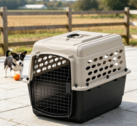 Cage de transport pour chien et chat en plastique avec porte en fil métallique, design aéré, fermeture à loquet durable, poignée supérieure, forme rectangulaire