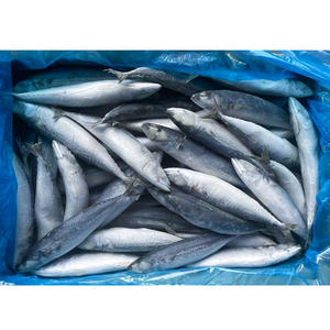 أفضل الأسماك في الشرق الأوسط-بيع بالجملة لسوق الشرق الأوسط والمطاعم ومحلات السوبر ماركت-شهادة الحلال - Product Image 4