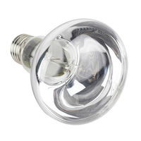 Lampe chauffante à infrarouge pour reptile et animaux, vente en gros, 100W R80, livraison gratuite