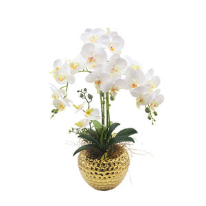 Tizen Orchidée Artificielle en Vase Orchidée Blanche Latex Real Touch Orchid Plant en Pot Décoration de la Maison Arrangement - Product Image 1