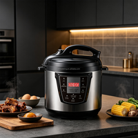 Autocuiseur Électrique OEM ODM avec Logo Personnalisé, Multifonction, pour la Maison, Appareil de Cuisine