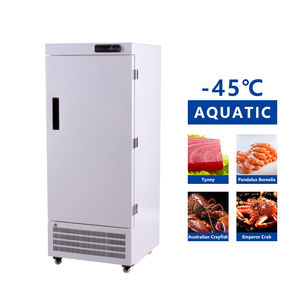 Congelador Vertical para el Hogar, Mini Congeladores de 188L, Refrigerador de Temperatura Ultrabaja de 60 Grados, Congelador Solar DW-60L188 - Product Image 3