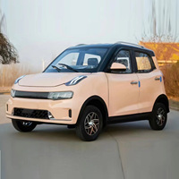 Mini véhicule électrique 3000W, véhicule électrique à quatre roues, voitures électriques