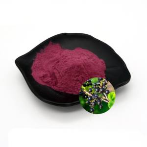 Ekstrak <span class=keywords><strong>Blackcurrant</strong></span> 10:1 <span class=keywords><strong>Blackcurrant</strong></span> kelas makanan dengan 25% aktivitas antioksidan - Product Image 1