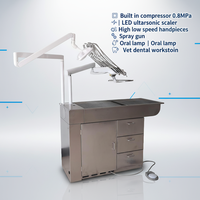 Poste de travail dentaire vétérinaire EUR VET avec compresseur, détartreur ultrasonique LED, pièces à main haute et basse vitesse, lampe buccale