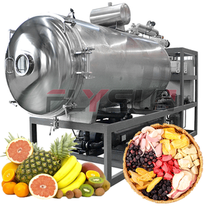 Liofilizador de frutas Fresa Piña Arándano Criogénico Banana Equipo de liofilización - Product Image 1