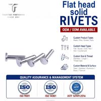 TianFang Rivets Pleins Tête Plate Alum Haute Traction Support Électronique Inspecté 100%