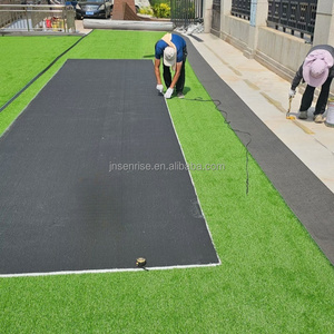 <span class=keywords><strong>Tapis</strong></span> <span class=keywords><strong>de</strong></span> gazon artificiel Doleader résistant aux UV, haute densité, plat, gazon synthétique, <span class=keywords><strong>tapis</strong></span> <span class=keywords><strong>de</strong></span> semis, décoration paysagère extérieure, <span class=keywords><strong>tapis</strong></span> <span class=keywords><strong>de</strong></span> <span class=keywords><strong>pelouse</strong></span> - Product Image 4