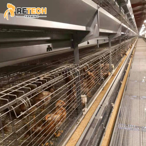 Bé Lớp Pullet Pin Chick Cage Hệ Thống Đối Với Nigeria Bán Với Phân Đai - Product Image 3