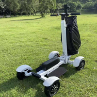 Scooter de golf électrique pliable à quatre roues Dericsson avec siège et porte-parasol