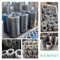 Raccord à bride en acier inoxydable à emboîtement, type RF à face surélevée, pour systèmes de pipeline industriels (ANSI B165, DIN EN10921)