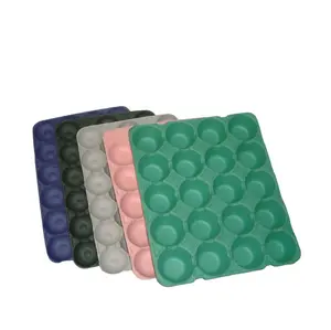 Biodegradable fruit packaging tray custom shape and color made from china