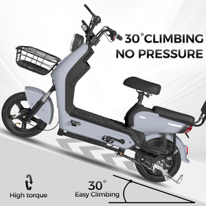 Scooter électrique Sacred Cow, batterie au plomb-acide 48V, double siège, vélo de banlieue léger - Product Image 3