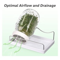 Kit complet de germination pour la rentrée scolaire, avec bocaux Mason transparents à large ouverture, couvercles de germination à tamis et manchons occultants écologiques