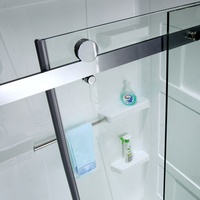 Fabricant de portes de douche coulissantes en acrylique Panneaux de murs de douche avec base