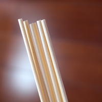 2025 nouveau produit gris couleur parfum Reed bâtons fibre diffuseur bâtons