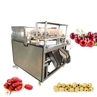 Kersenzaad Automatische Olijf Pitting Dadels Kersenkern Verwijderen Fruit Putmachine