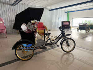 City Sightseeing Tricycle électrique de <span class=keywords><strong>transport</strong></span> de passagers assisté pousse-pousse électrique 3 roues Taxis pousse-pousse Pedicab Fabricant - Product Image 4