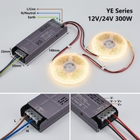 Alimentation à découpage à tension constante 12V 300W pour LED, large plage d'entrée, fonctionnement silencieux, SMPS IP20, usage intérieur, sortie 25A pour LED