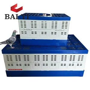 80ซม.การฝึกอบรมสำหรับ Racing Pigeon สำหรับ Breeding ต่ำราคา - Product Image 1