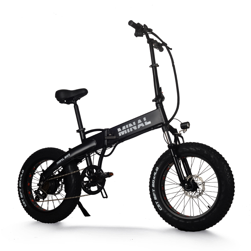 High Quality 48V 350W Electric Bicycle