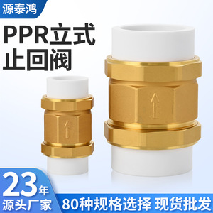 Vanne de raccordement verticale en cuivre et laiton PPR avec flèche de direction de débit pour pompe à eau et compteur d'eau - Product Image 3