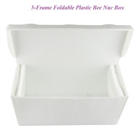Boîte à Nuc Pliante en Plastique Léger avec 5 Cadres, État Neuf, en Carton Ondulé, Ruche pour Abeilles