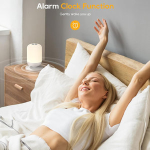 Giảm Giá Sốc Máy Phát Tiếng Ồn Trắng Ngủ Êm Dịu Cho Bé Có Đèn Ngủ Máy Phát Âm Thanh Hỗ Trợ Điều Khiển Bằng Ứng Dụng Làm Dịu Giấc Ngủ Nghe Nhạc - Product Image 2