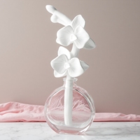Diffuseur de parfum d'ambiance personnalisé 100 ml en verre, diffuseur d'huiles essentielles en céramique parfumée en porcelaine, désodorisant en plâtre aromatique