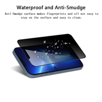 Protecteur en soie 360 ° pour iPhone 13 14 15 Pro Max Protecteur d'écran en verre trempé pour iPhone 16 Privacy Anti spy