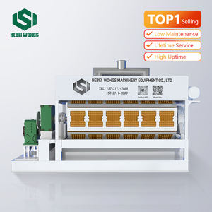 Machine à fabriquer des barquettes à œufs en <span class=keywords><strong>paille</strong></span> WONGS WS 6-8 6500-7500 pièces/heure, utilisation des déchets agricoles, matériau écologique, production durable - Product Image 1