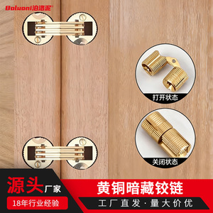 Brass <b>Concealed</b> Cross Hinged Cabinet Door Hardware 2.5 Mm Flush Mount Minimalist Design One Piece Hinge For Furniture - Product Image 2