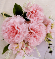 พีชพิงค์