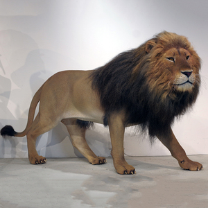 Statue de lion réaliste avec poils implantés à la main, collection de musée sur le thème de l'histoire <span class=keywords><strong>naturelle</strong></span>, à vendre - Product Image 4