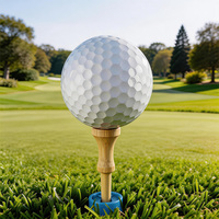 Tees de golf en bois de haute qualité, 83 mm, taille personnalisée