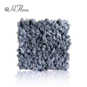 Hflora Offre Spéciale naturel mousse préservée meilleur vendeur préservé renne mousse panneau stabilisé pour la décoration de mariage - Product Image 6