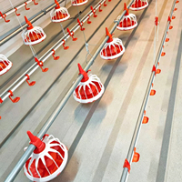 Équipement d'élevage avicole automatique pour poulets, fourni par l'usine chinoise / Équipement pour poulets au sol